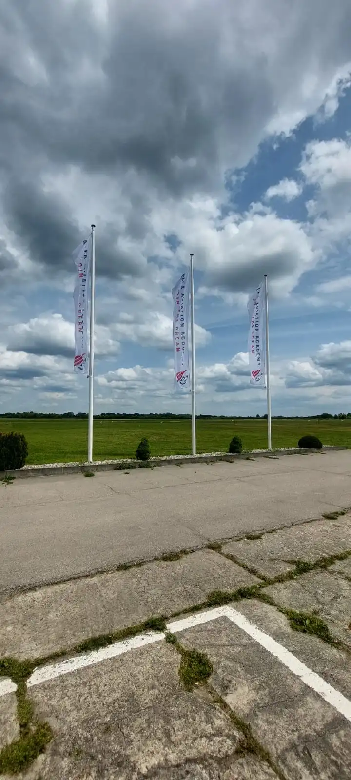 Flags with logotype